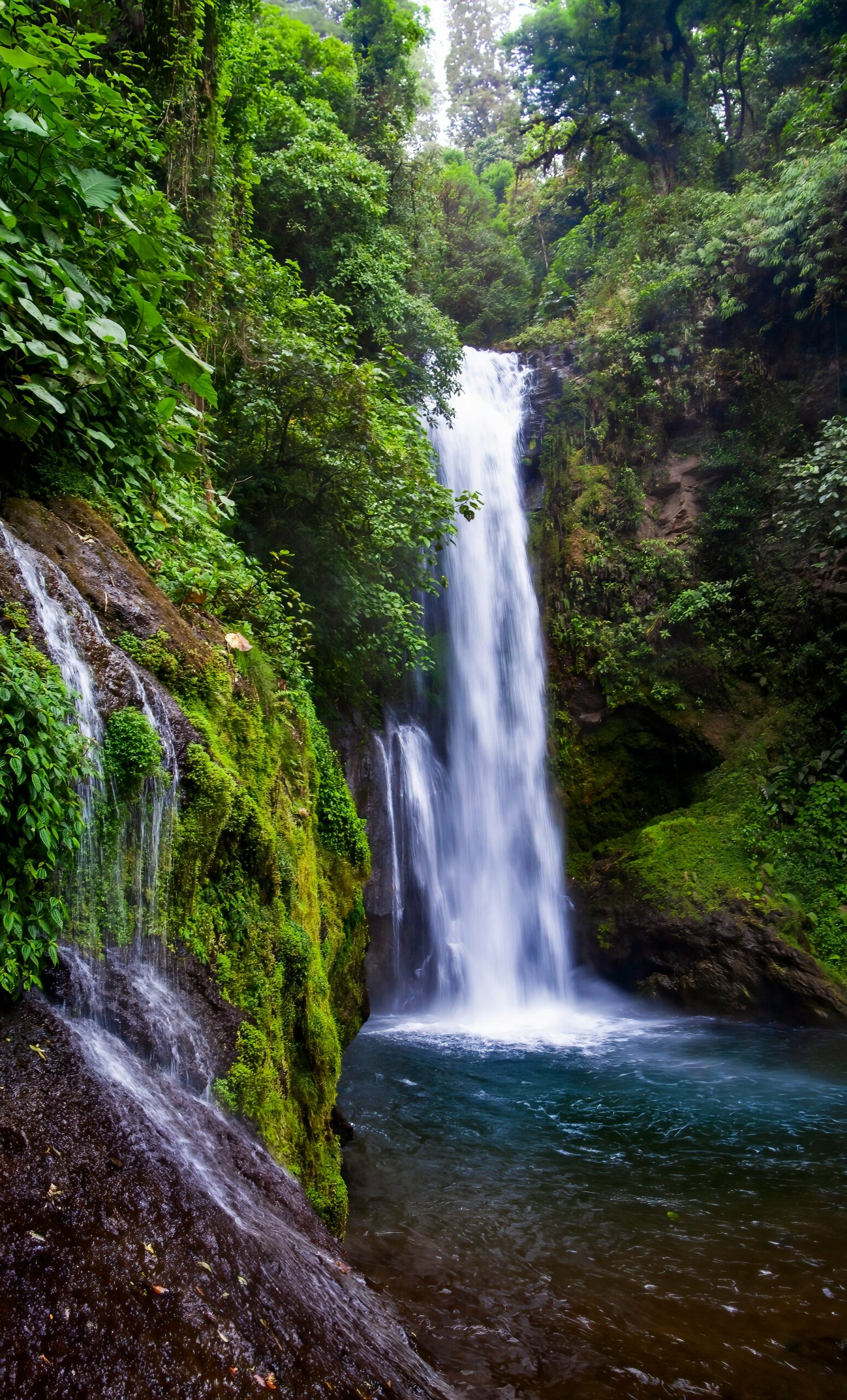 La Paz Waterfall area in Alajuela Costa Rica